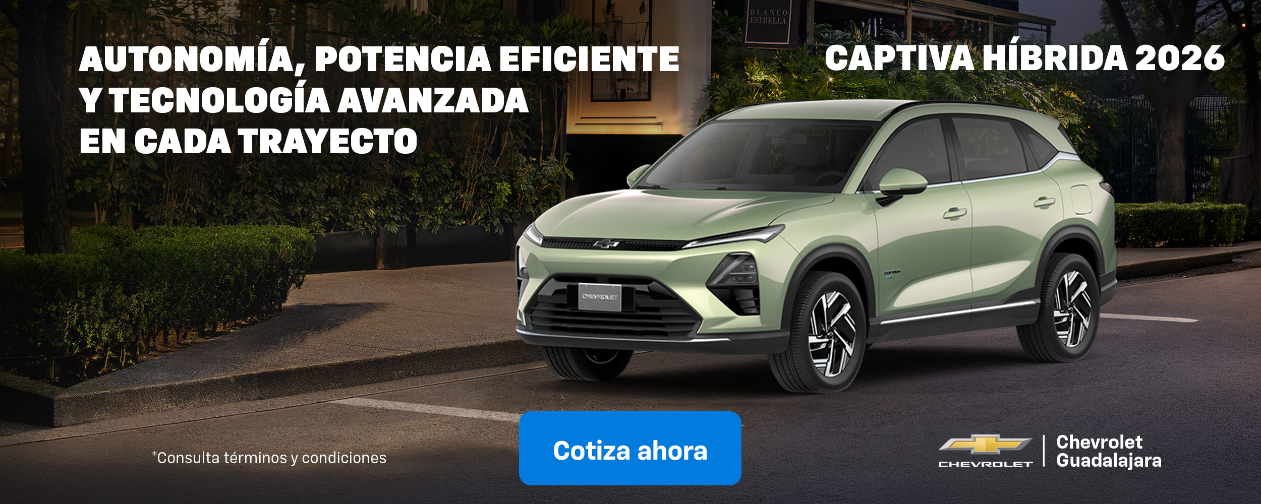 Junio Genérico