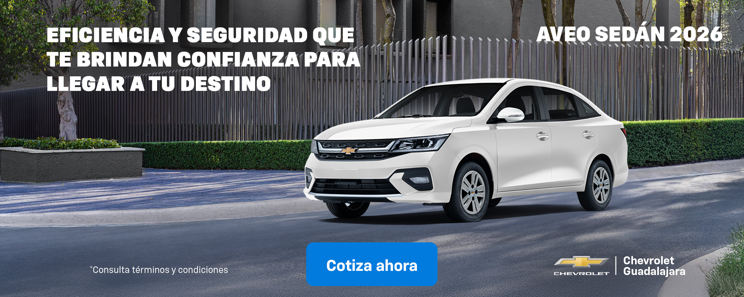 Junio Genérico